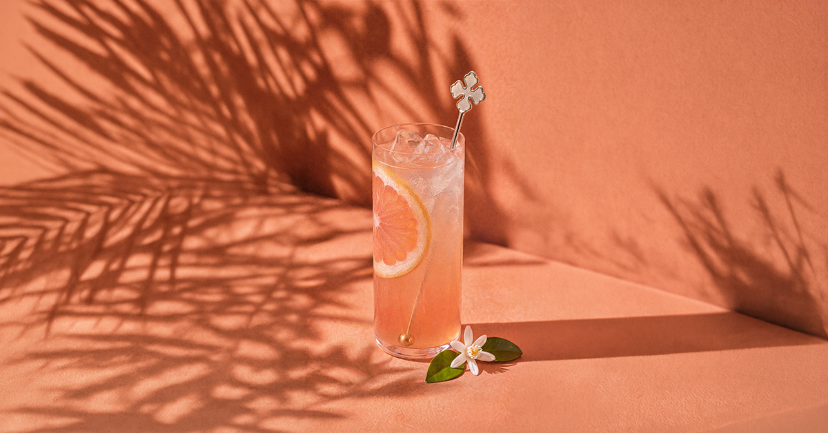 Comment réussir un Paloma irrésistible?