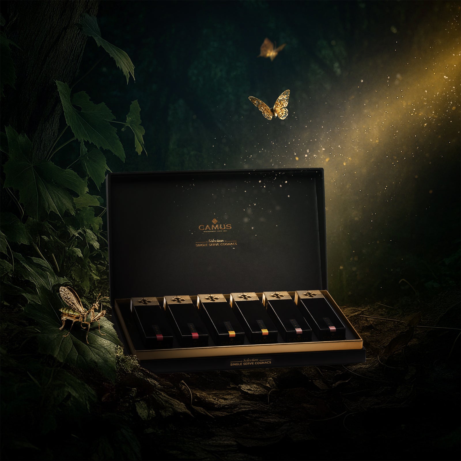 COGNAC CAMUS SINGLE SERVE - COFFRET (6x3cl / 40%)