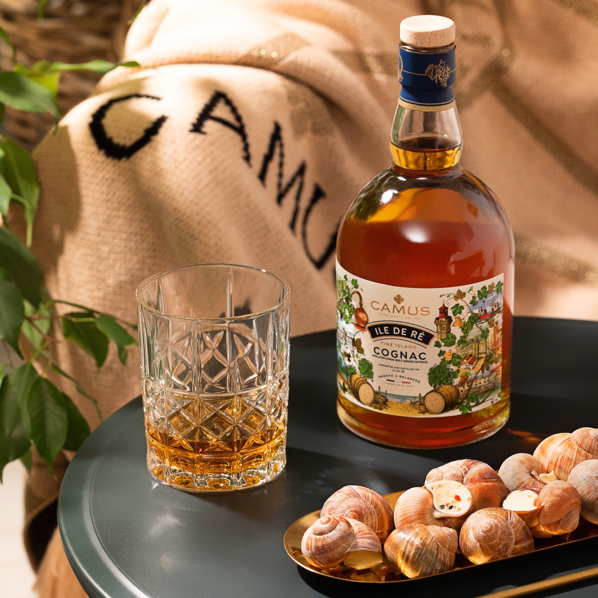 COGNAC CAMUS ÎLE DE RÉ FINE ISLAND (70cl / 40%) - CAMUS COGNAC