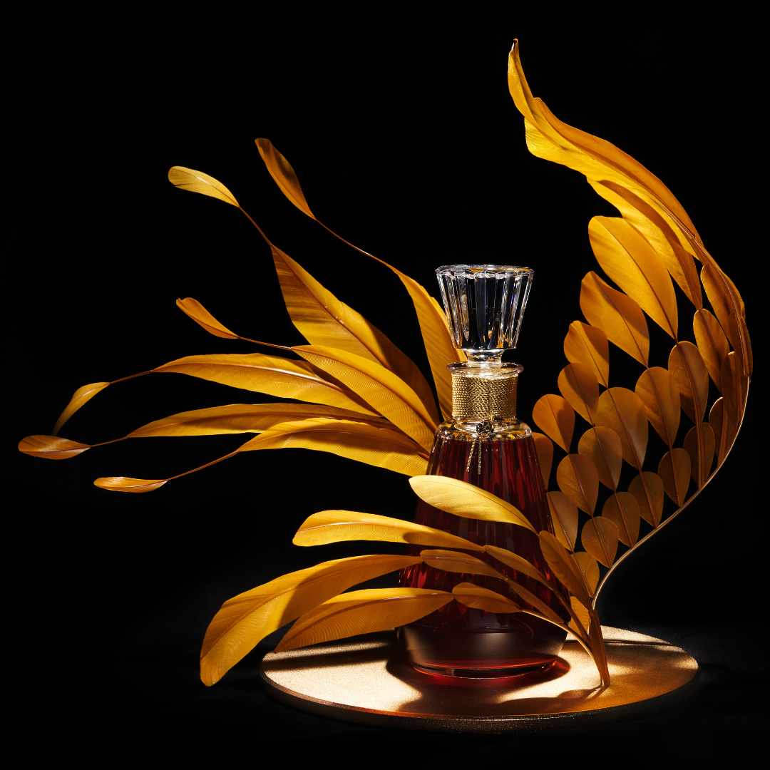 COGNAC POETS & BIRDS - PHÉNIX - CAMUS COGNAC