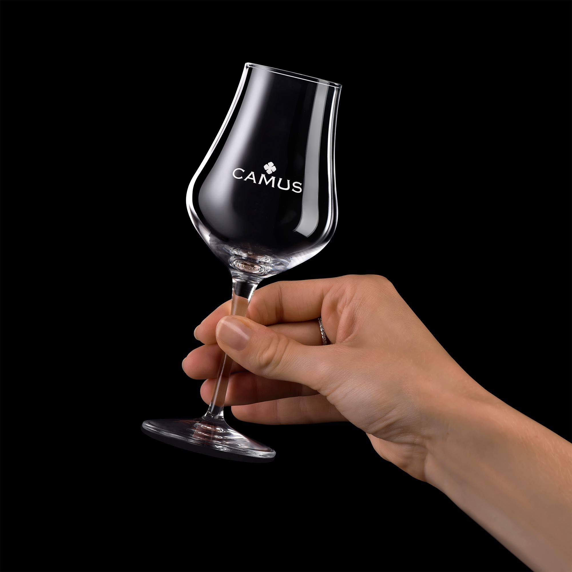 CAMUS COGNAC VERRES TULIPE (X2) - CAMUS COGNAC