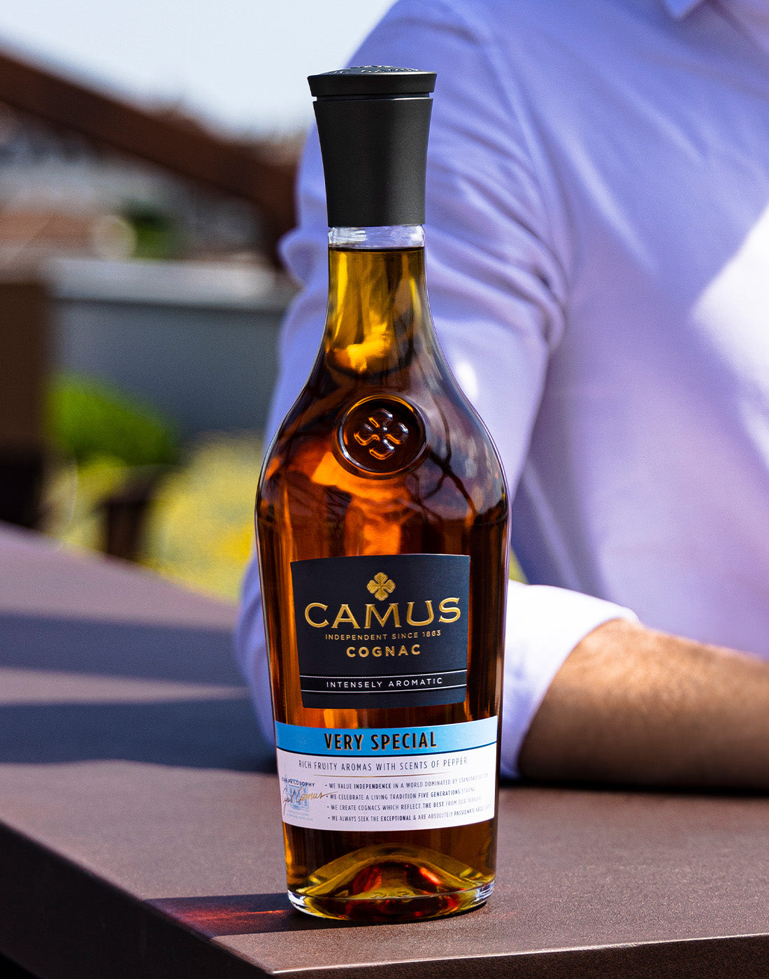 camus cognac very special VS