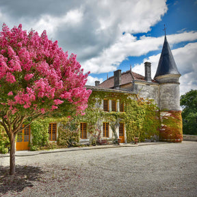 STAY AT THE CHATEAU DU PLESSIS - DISCOVERY - CAMUS COGNAC