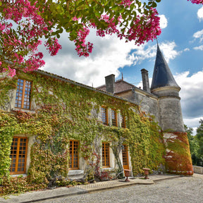STAY AT THE CHATEAU DU PLESSIS - DISCOVERY - CAMUS COGNAC