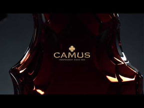 CAMUS COGNAC CUVÉE 4.160 (70cl - 41,6%)